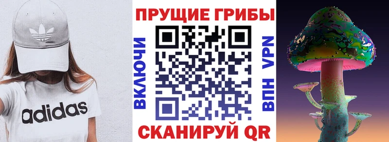 Псилоцибиновые грибы прущие грибы  Сураж 